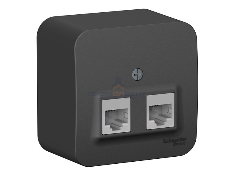 Розетка 2-ая компьютерная RJ45 кат.5E Blanca Schneider Electric антрацит изол.пластина